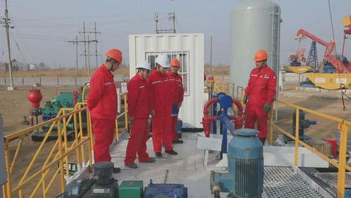 外媒聚焦中国油田“孤岛厂侧钻”技术 管理升级盘活资产，资产管理迈向新高度